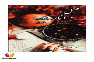 دانلود رمان فصل انار از فائزه عامری با لینک مستقیم برای موبایل و کامپیوتر